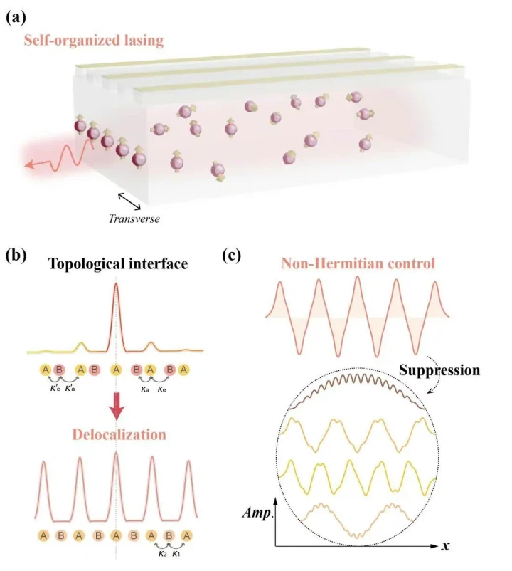 news-720-802 news-720-802